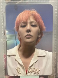 藍底龍