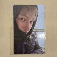 雪地馬丁