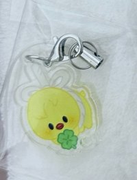 原皮拿幸運草菲