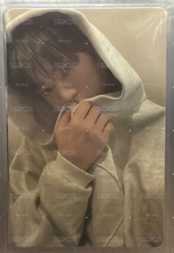 帽T勳
