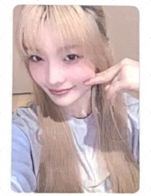 會員禮羽❤️