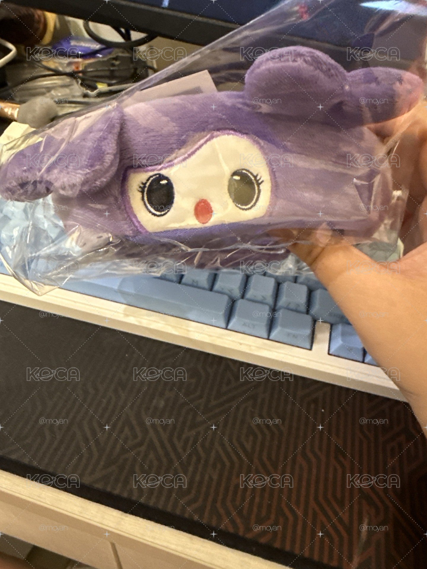 紗手燈套