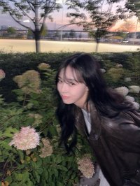 茶星