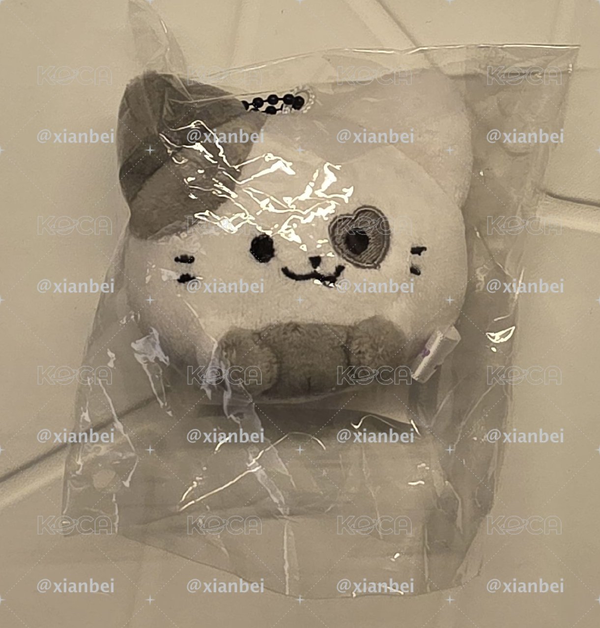 志圓滾滾現貨 （袋子側邊破掉可接受再購買 需多帶賣場中🖤400以上