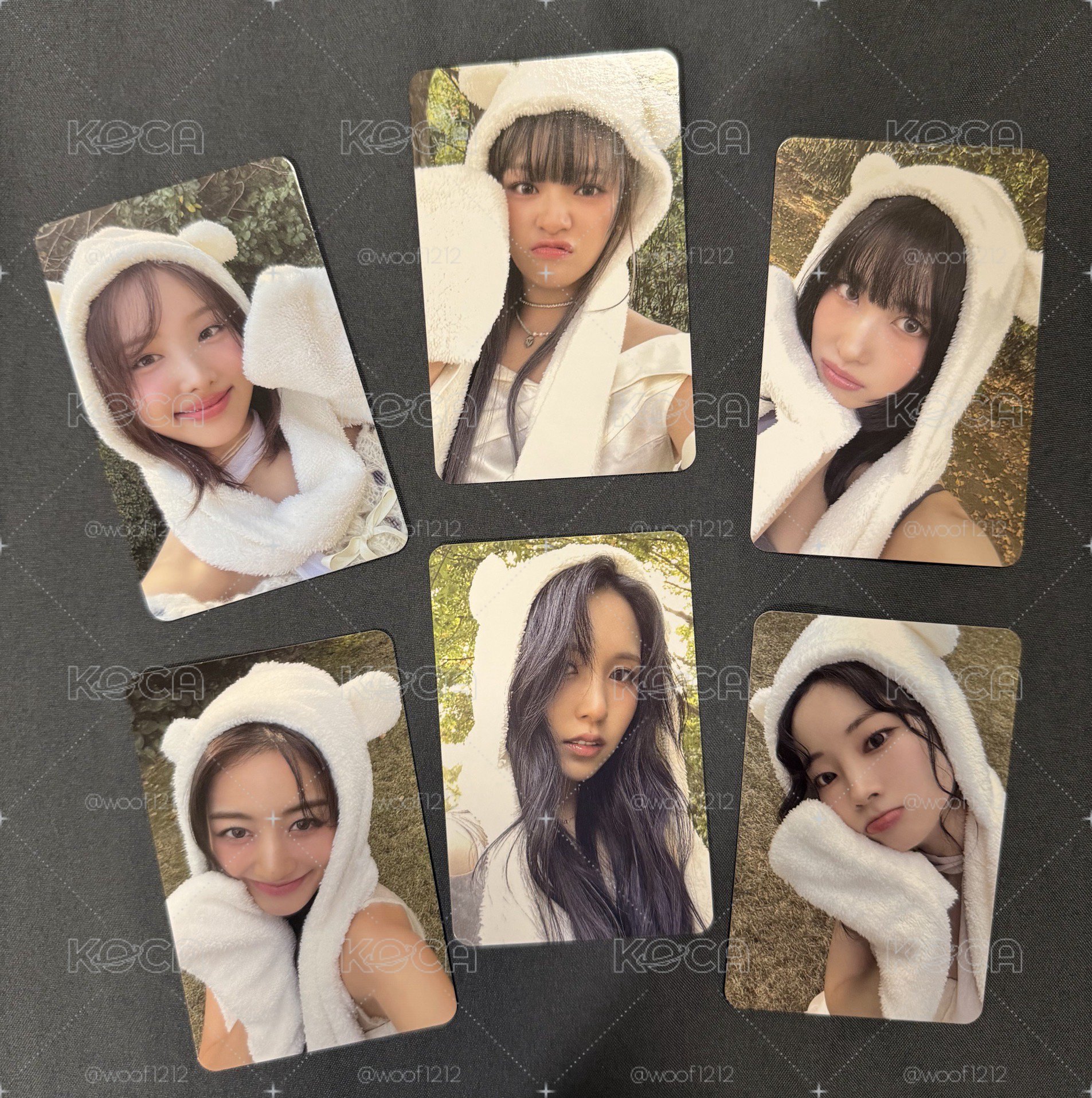 TWICE 迷13 熊帽卡