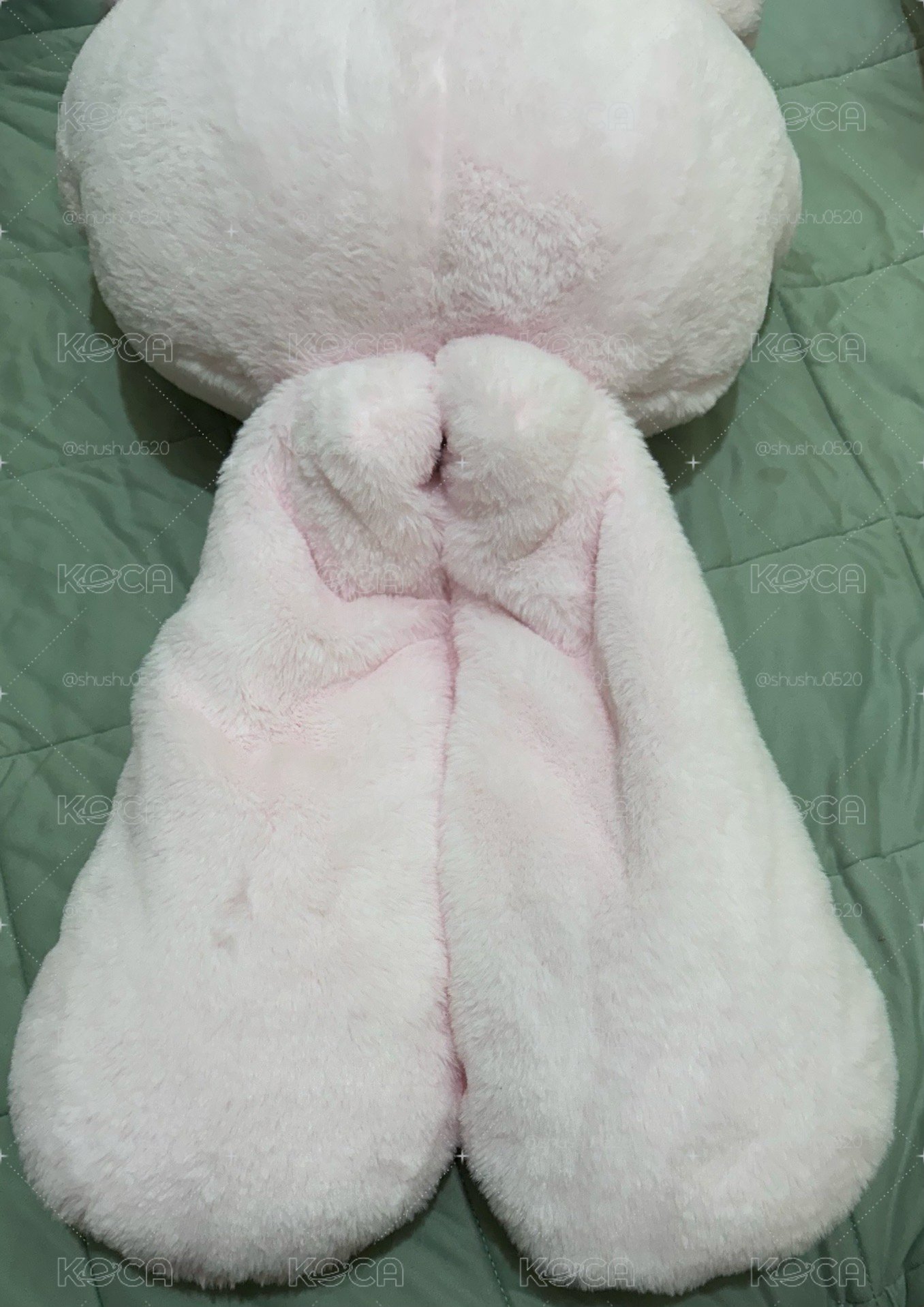 Q萍大娃