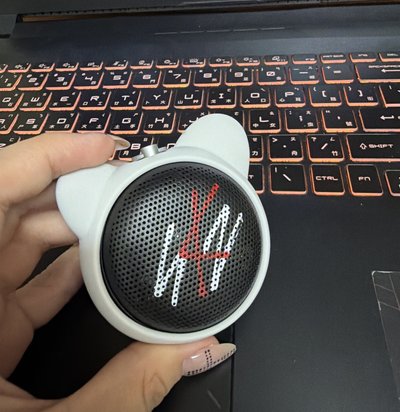 僅音箱 雪貂殼 沒有外盒 會另外打包好