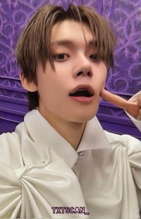 迷八 卡盒專 專輯卡 