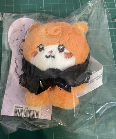 idle 小盤出 雨吊飾娃+麵卡套+快閃店滿額小卡和隨機卡包卡 +快閃店紙袋