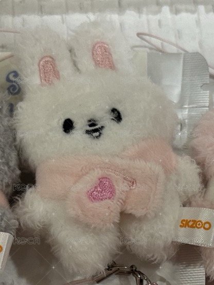 原皮旻