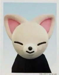 2024 FC 演唱會 DVD / CD 卡 Blu-ray 完全生產限定盤 證件照