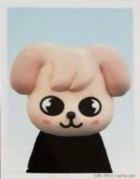 2024 FC 演唱會 DVD / CD 卡 Blu-ray 完全生產限定盤 證件照