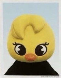 2024 FC 演唱會 DVD / CD 卡 Blu-ray 完全生產限定盤 證件照