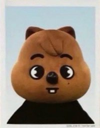 2024 FC 演唱會 DVD / CD 卡 Blu-ray 完全生產限定盤 證件照