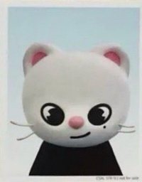 2024 FC 演唱會 DVD / CD 卡 Blu-ray 完全生產限定盤 證件照