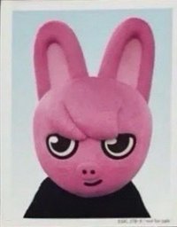 2024 FC 演唱會 DVD / CD 卡 Blu-ray 完全生產限定盤 證件照