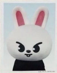 2024 FC 演唱會 DVD / CD 卡 Blu-ray 完全生產限定盤 證件照