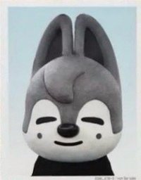 2024 FC 演唱會 DVD / CD 卡 Blu-ray 完全生產限定盤 證件照