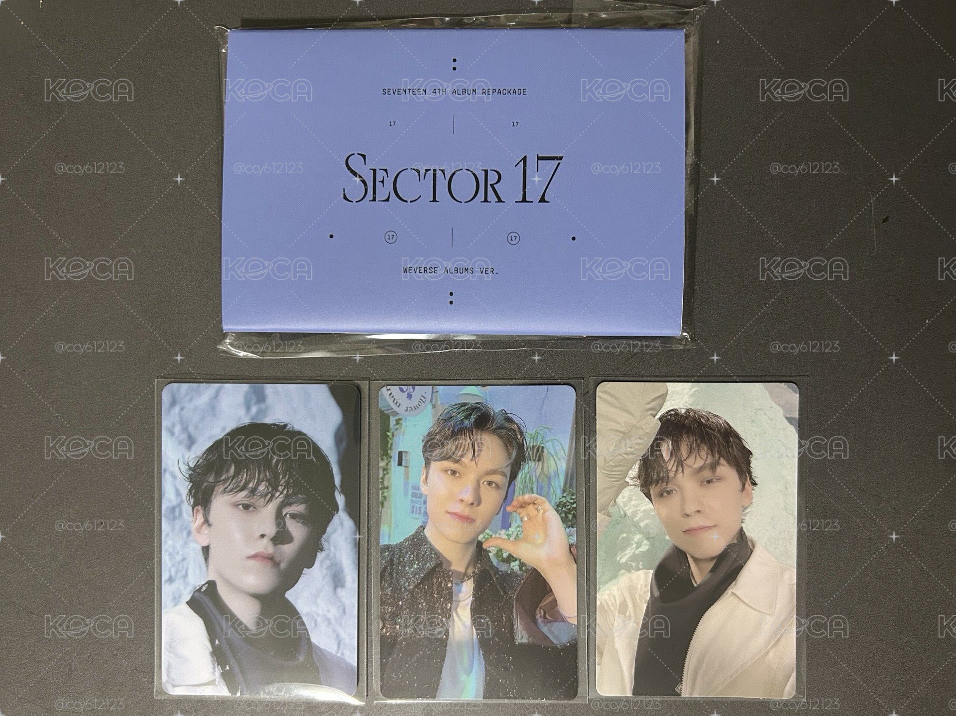 SEVENTEEN 未掃電子專✨