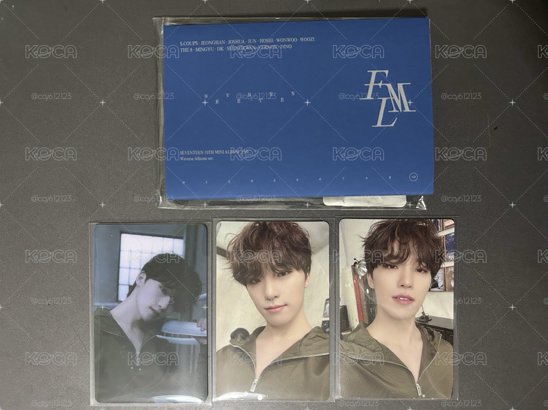 SEVENTEEN 未掃電子專✨