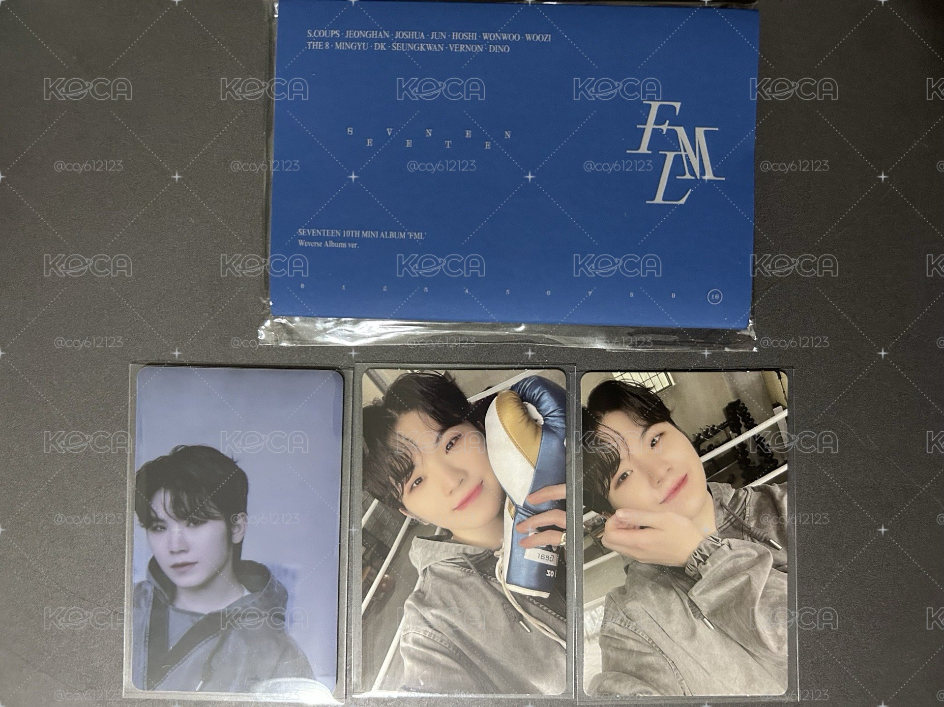 SEVENTEEN 未掃電子專✨