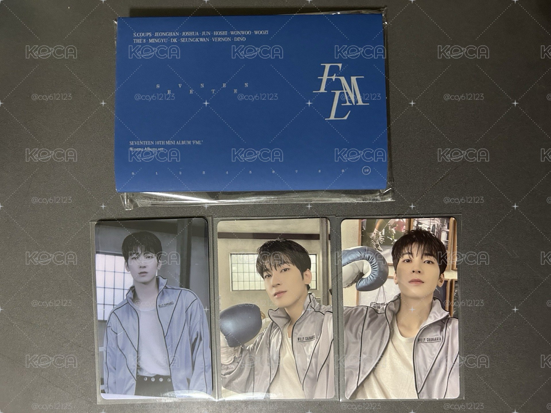 SEVENTEEN 未掃電子專✨