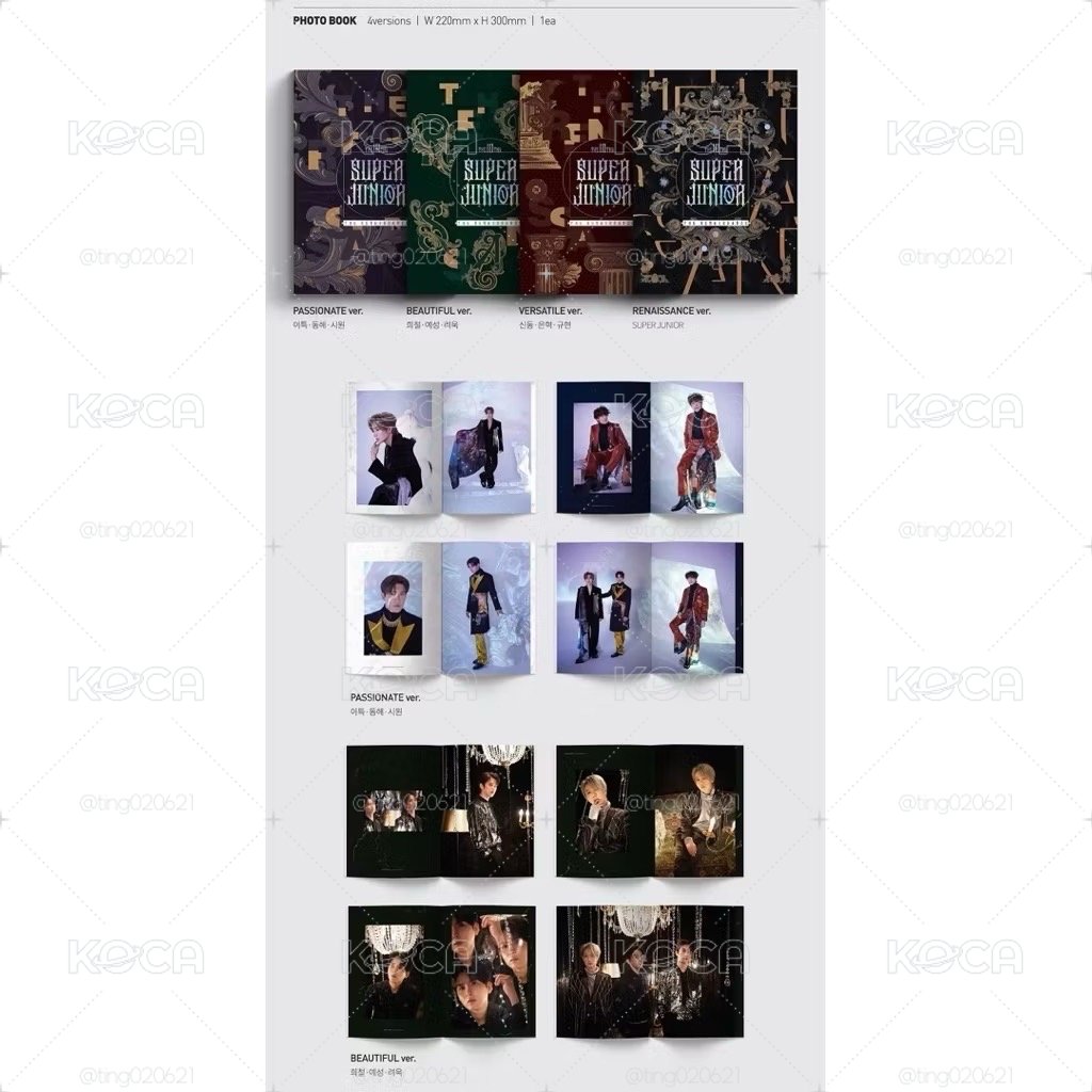 空專 SUPER JUNIOR - VOL.10 THE RENAISSANCE 正規十輯 BEAUTIFUL Ver