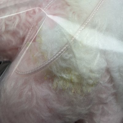 ［廠損］六期飯咪 潦草娃 草莓燦