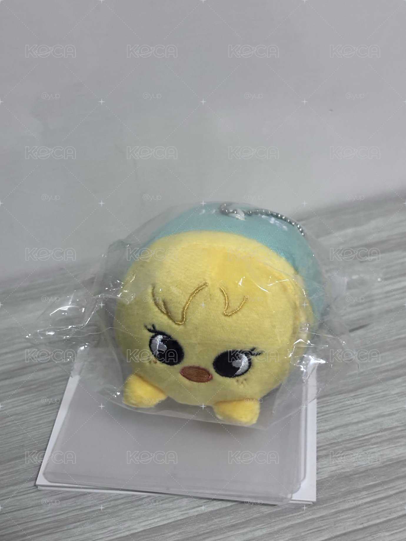 🧭SKZ 啵阿里趴娃+菲BDM特典