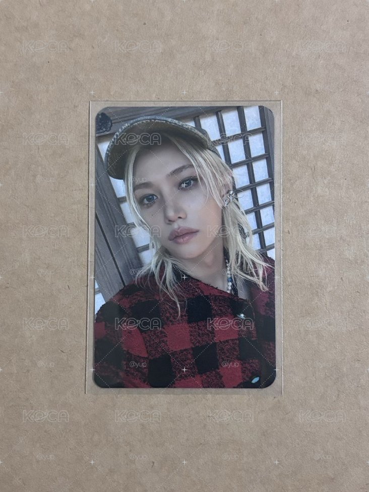 🧭SKZ 啵阿里趴娃+菲BDM特典