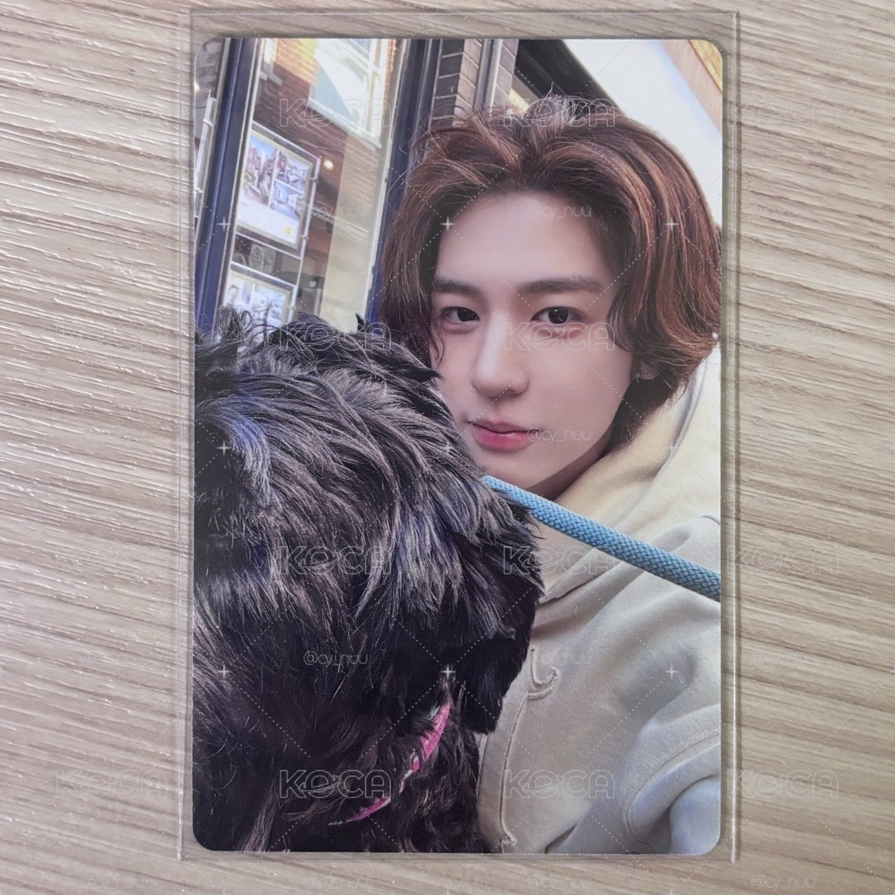 狗狗🐶