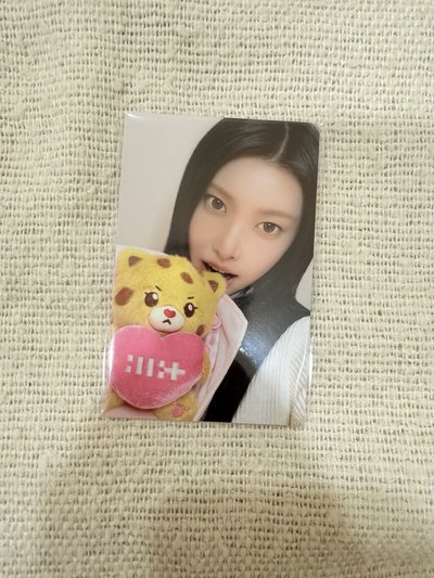 ILLIT｜二週年捧花大娃｜yunah滿額卡｜CHEETIE