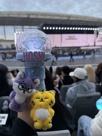 1124🐯🐈‍⬛