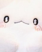伊卡