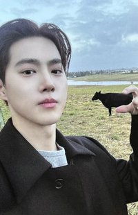 Who Are You 專輯卡 Stranger ver. 捏牛卡