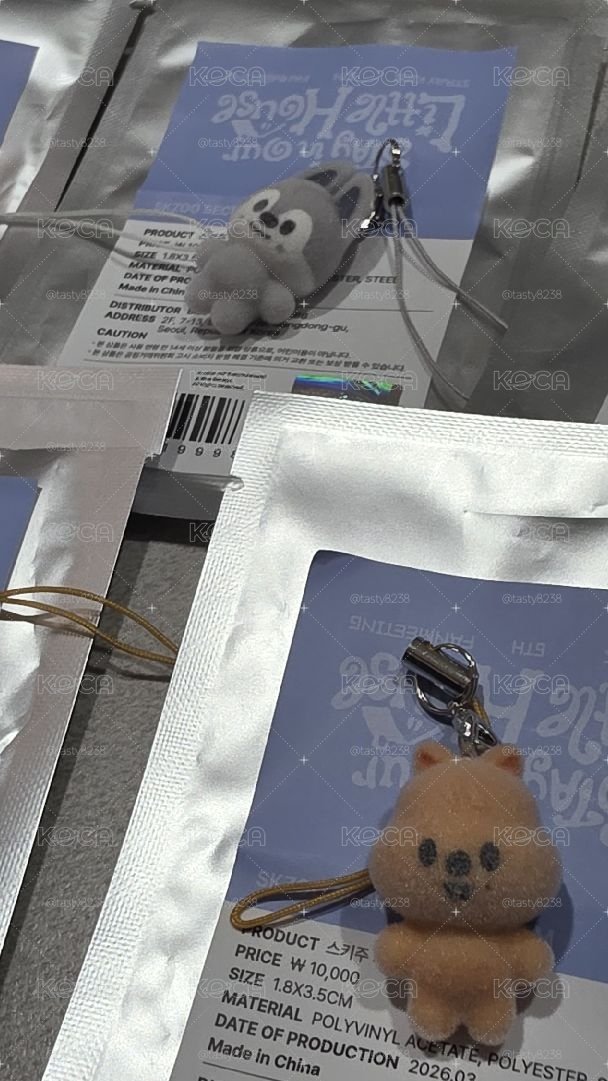 6th FM skzoo植絨小吊飾 鑰匙圈