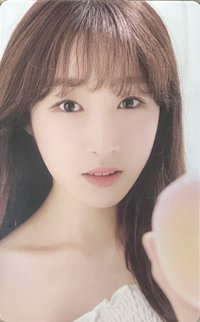 2019 SEASON'S GREETINGS 年曆卡 