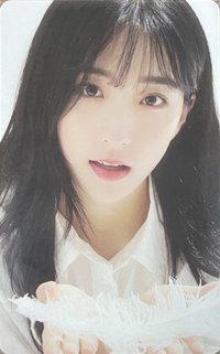 2019 SEASON'S GREETINGS 年曆卡 
