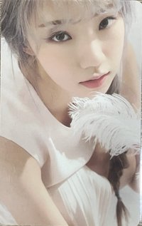 2019 SEASON'S GREETINGS 年曆卡 