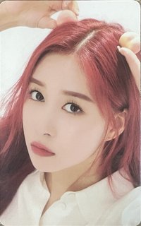 2019 SEASON'S GREETINGS 年曆卡 
