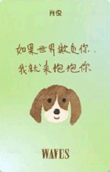 WAVES D版限定 雜誌卡  背面