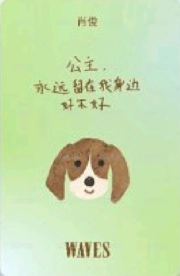 WAVES D版限定 雜誌卡  背面