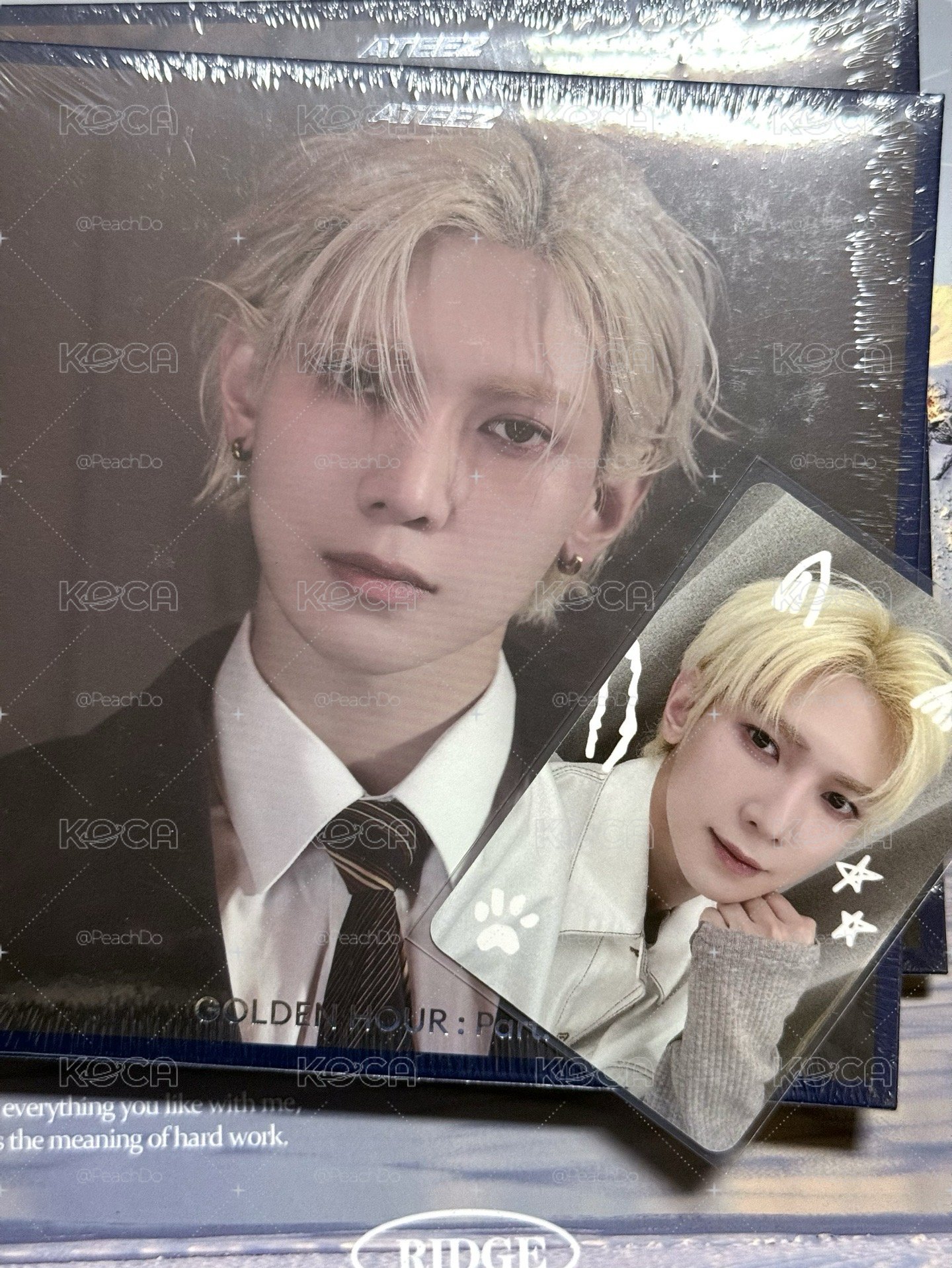 🪜AM LD塗鴉小貓&塗鴉小狗