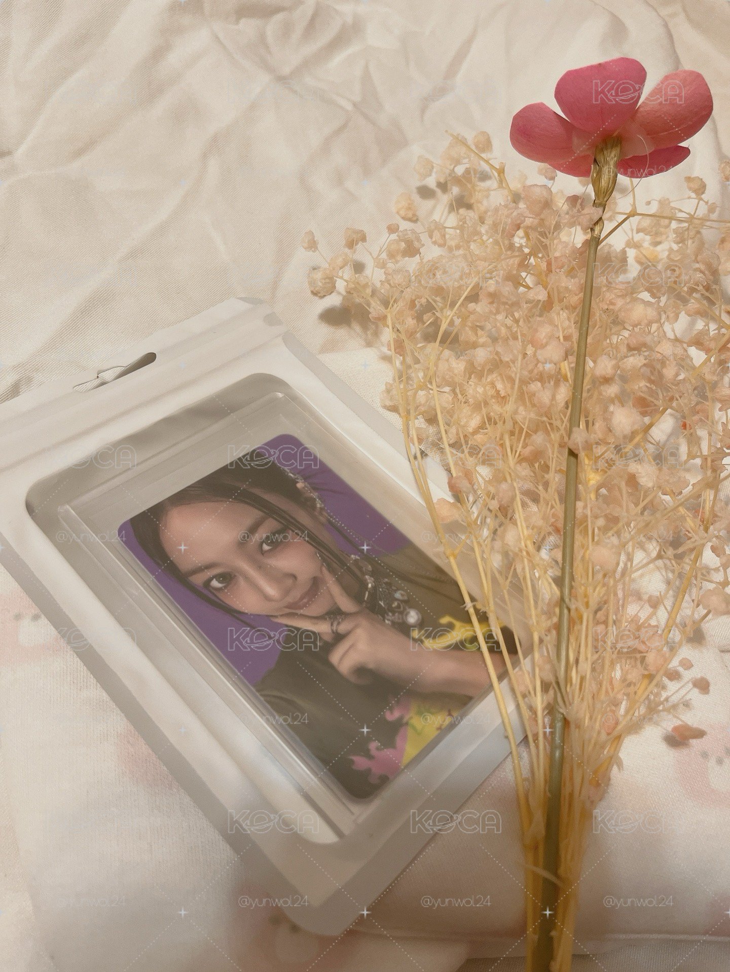 Twuce Jihyo ｜This is for 專卡