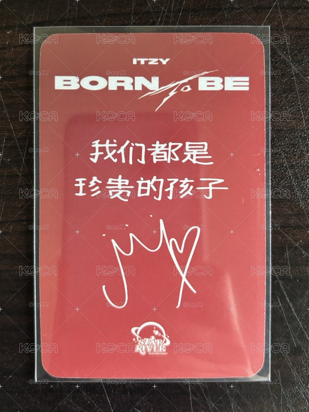 BORN TO BE sr預售 中背 圍巾領