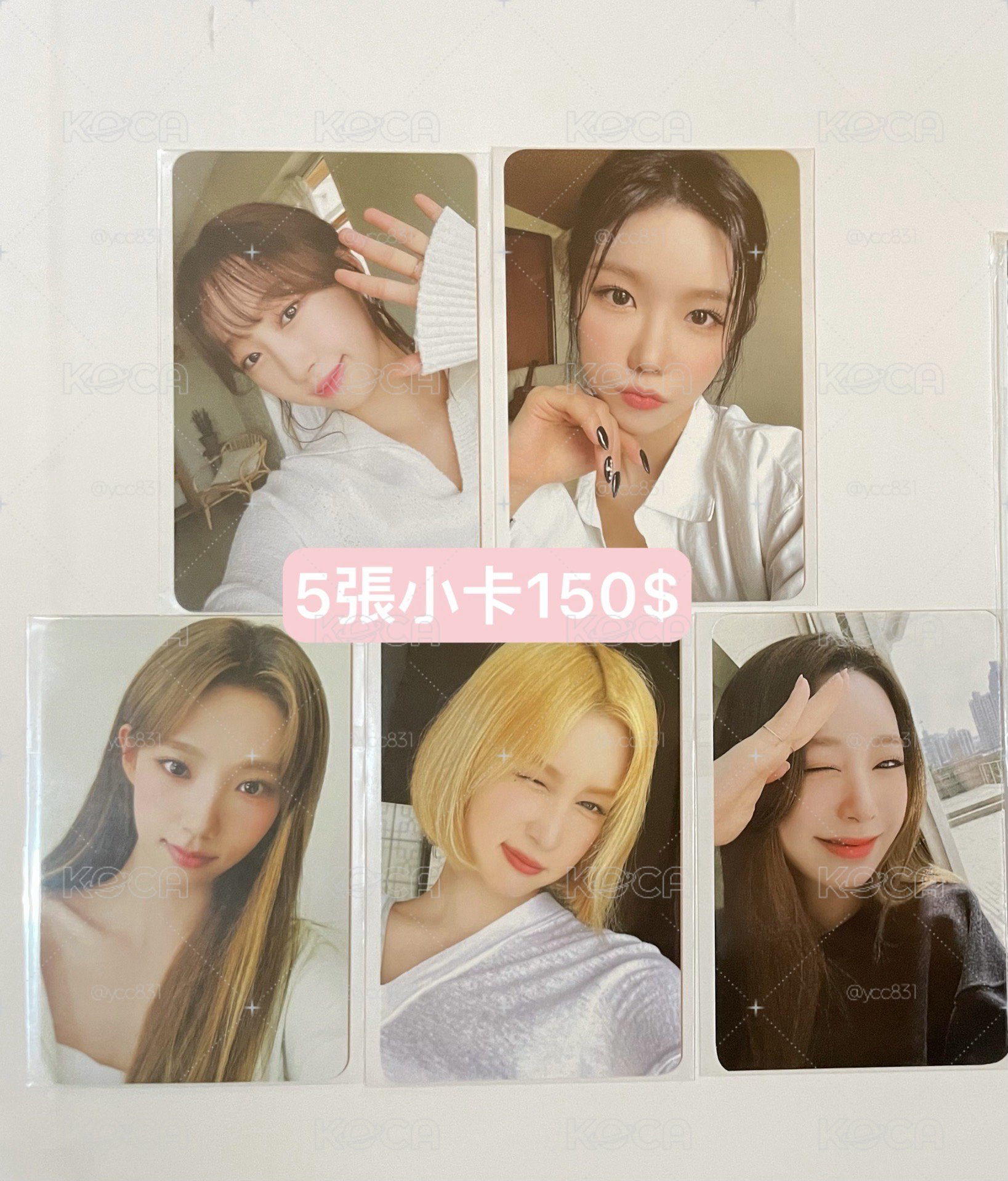 宇宙少女 WJSN Daily WJSN(FILM MINI BOOK ver.) 周邊卡 小卡