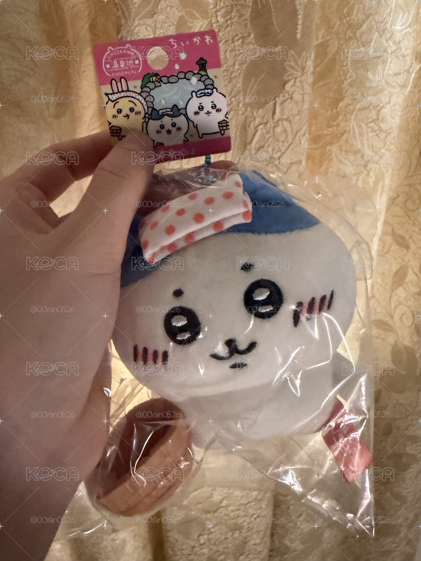 地區限定（溫泉小八）有挑過臉！