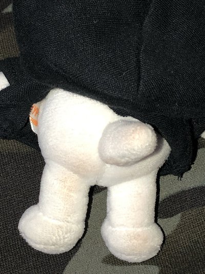 小貂🤍