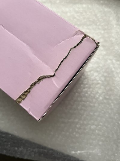 BT21 SHOOKY藍牙麥克風