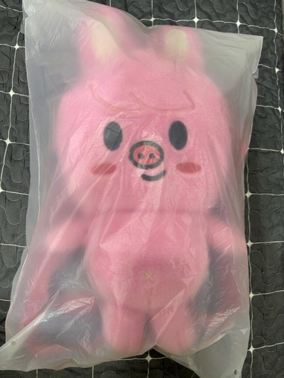 （現貨）6th FM 燦 彬 後背包